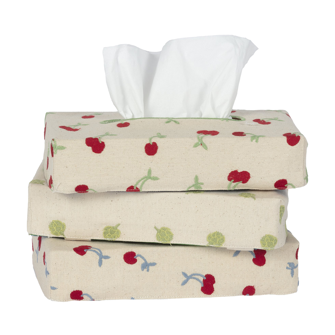 Skinny Embroidered Tissue Box Cover